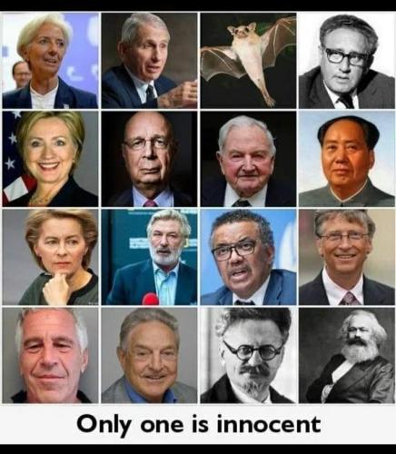 FB_IMG_1678889262083