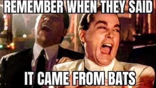 FB_IMG_1677769359225