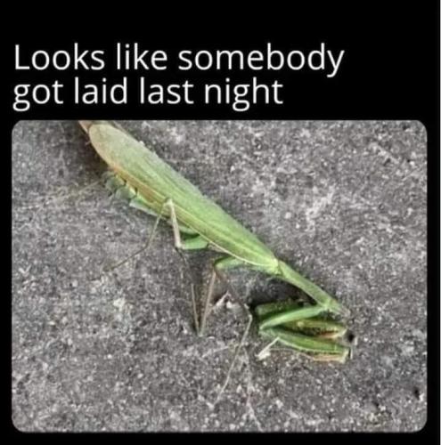 ac7e5398-d290-4e8c-ae87-2df361c249eb