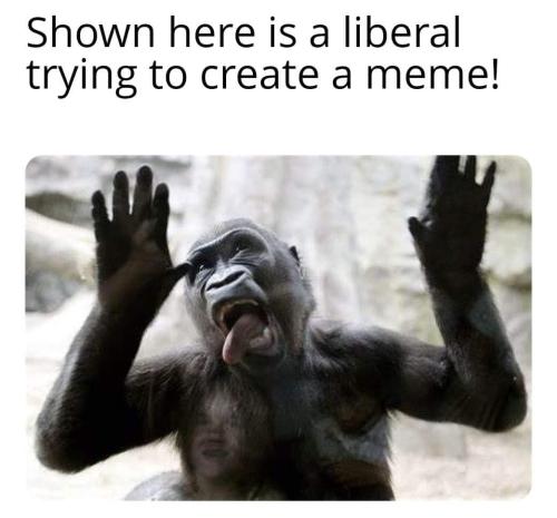 FB_IMG_1679894956152