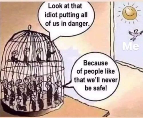 FB_IMG_1679050115811