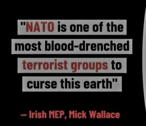 Screenshot_20230313_173956_YouTube