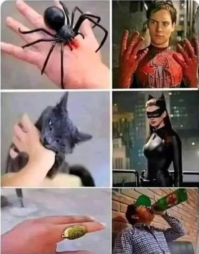 FB_IMG_1679686547693