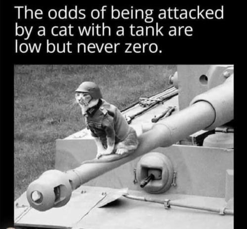 Screenshot_20230320_150149_Email