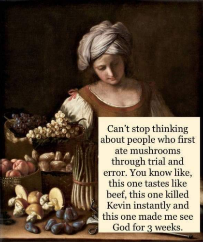 Screenshot_2023-03-08-12-41-59_kindlephoto-153214737