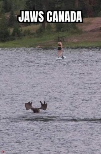 jaws Canada