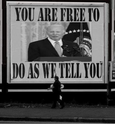 Free 1