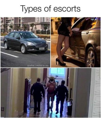 escorts