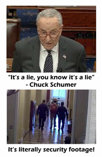 schumer_asshole_liar_J6_video_dem