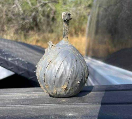 51DBE4C7-06C4-4E5E-A6D2-838943D32DA6