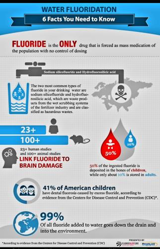 Screenshot_20230319_172506_Chrome