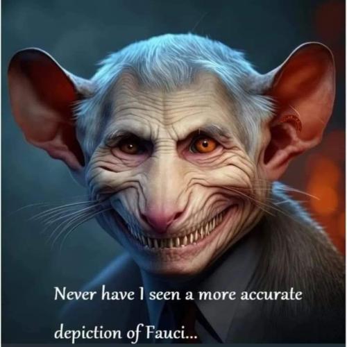 FB_IMG_1679070703443