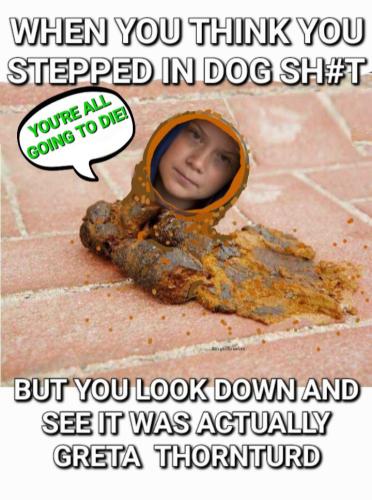 Screenshot_20230310_205933_Gallery