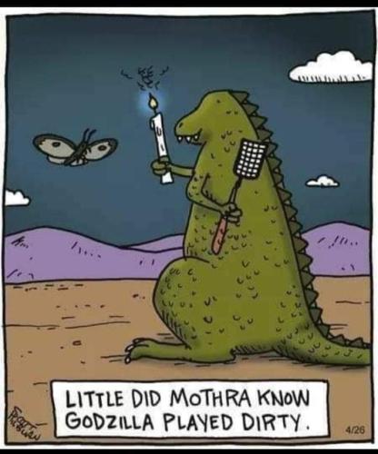 FB_IMG_1677774162345