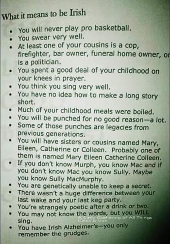 335650355_159566896990302_3083336224875751248_n