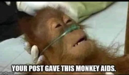 FB_IMG_1680127953459