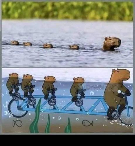 how it really is