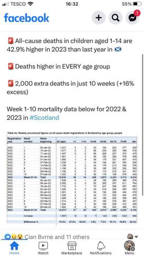 FB_IMG_1678986370005