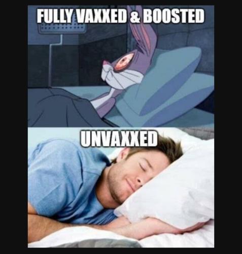 Screenshot_20230206_203615_YouTube