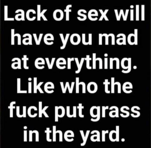 e8a0a8f719321612255070676dd79b84_1024