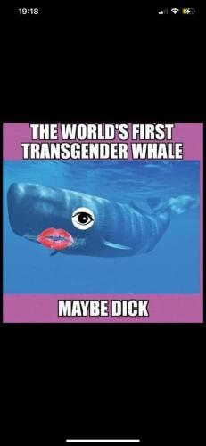 FB_IMG_1680201555631