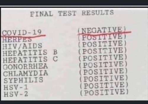 FB_IMG_1679503885527