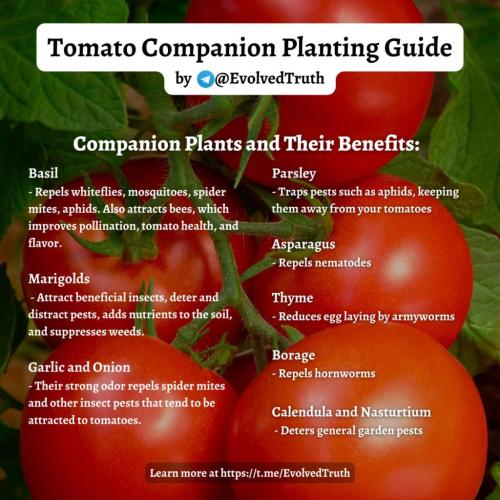 IMG_20230308_183909_063