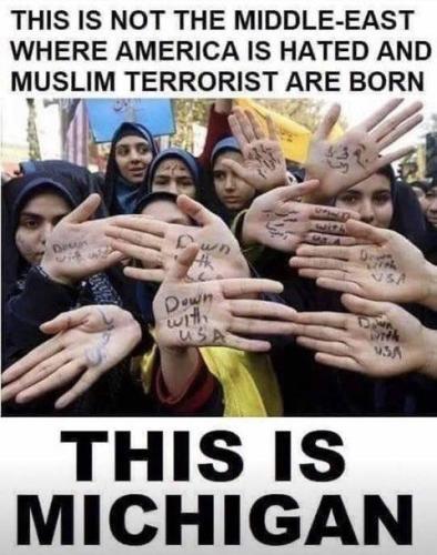 246c3533-9d21-4560-a109-fcd35358f7ae