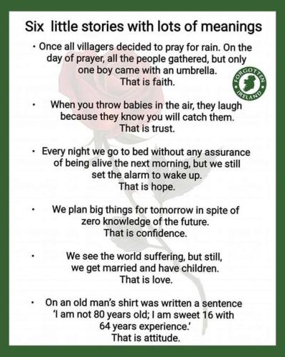 336876184_233381819142841_2292311143544584752_n