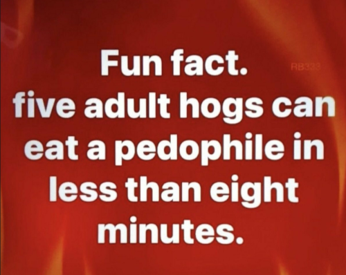 Pedo 1