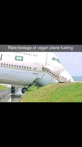 FB_IMG_1680210565973