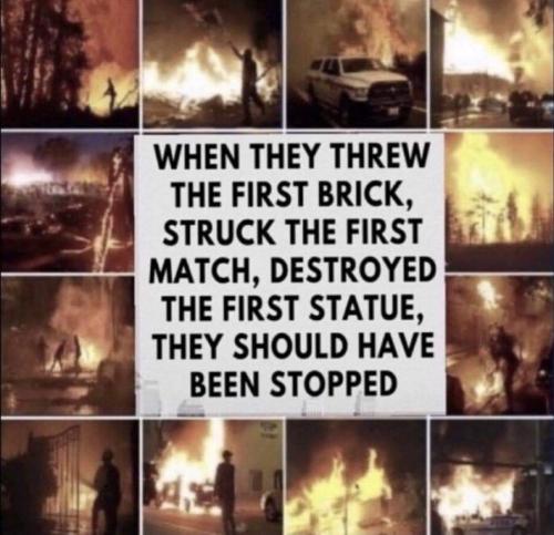 FB_IMG_1679282364958