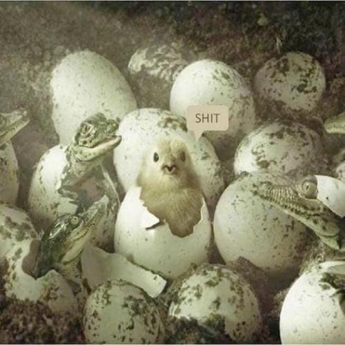 335956877_758559549220553_4217080868697354455_n