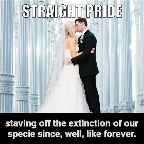 straight pride01