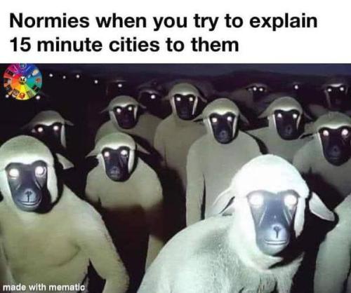 Cities 1