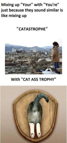 FB_IMG_1679673122347