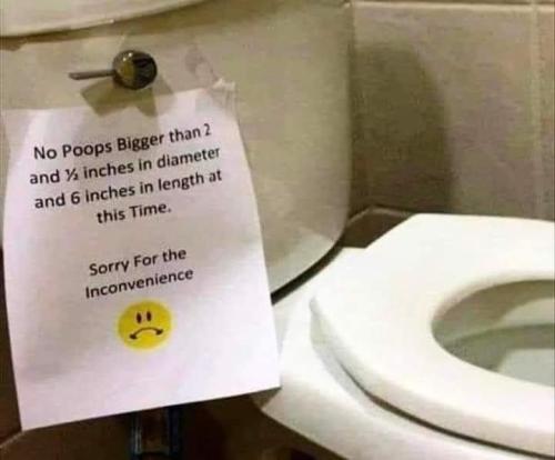 FB_IMG_1678684909792