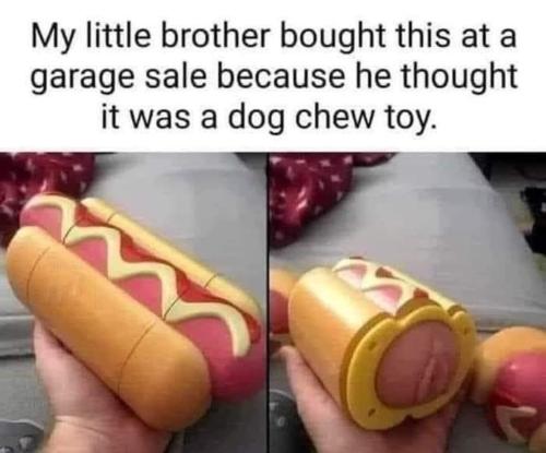 FB_IMG_1679332207525