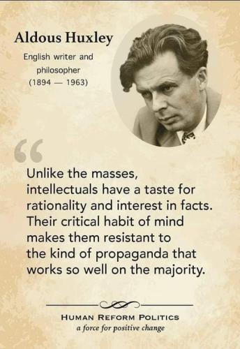 335273942_764259271528676_6326311241929365041_n