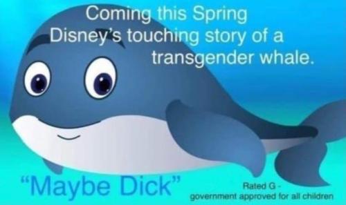 c54ae065-b05a-4509-9c21-01625e271c7d