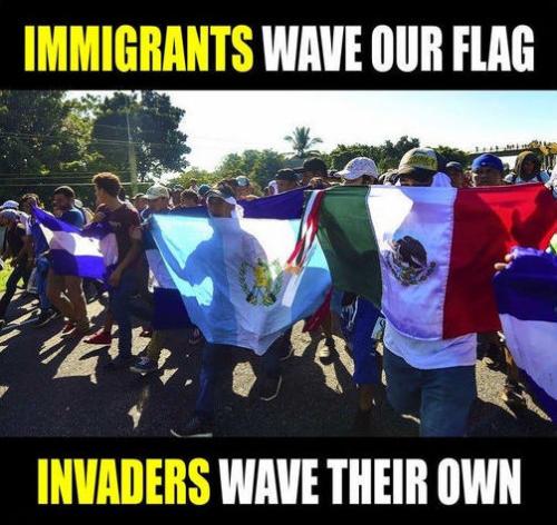 illegal immigration322