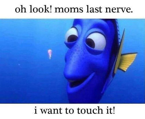 oh look moms last nerve