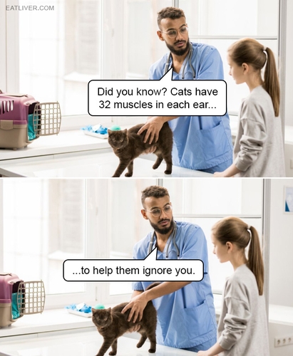 Did you know