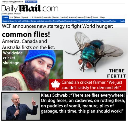 cricket shortage
