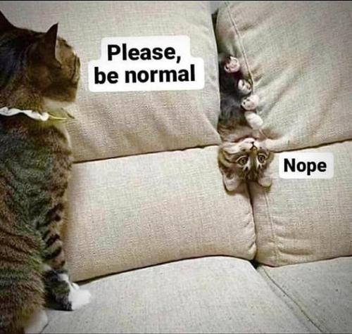 335434782_173912148759811_2609945207106724136_n