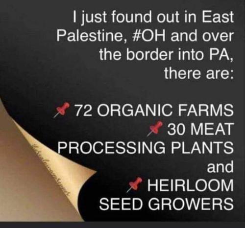 FB_IMG_1677679721904