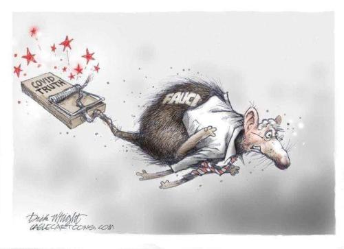 FB_IMG_1678196614339