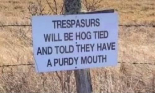 FB_IMG_1680029587429