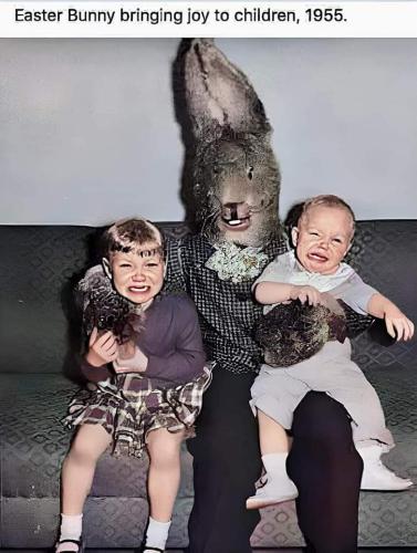 FB_IMG_1678726545636