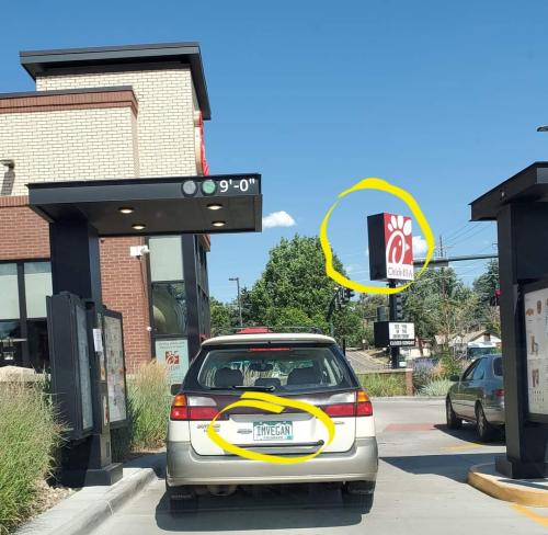 FB_IMG_1678059547759